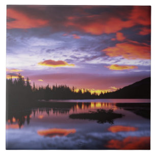 VS, Washington, Mt. Rainier Nationaal Park, Tegeltje