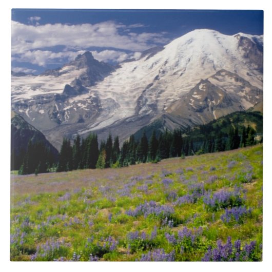 VS, Washington, Mt. Rainier Nationaal Park. Tegeltje (Voorkant)