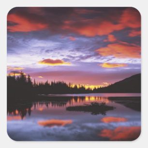 VS, Washington, Mt. Rainier Nationaal Park, Vierkante Sticker