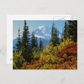 VS, Washington, Mt. Rainier National Park 2 Briefkaart (Voorkant / Achterkant)