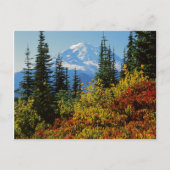 VS, Washington, Mt. Rainier National Park 2 Briefkaart (Voorkant)
