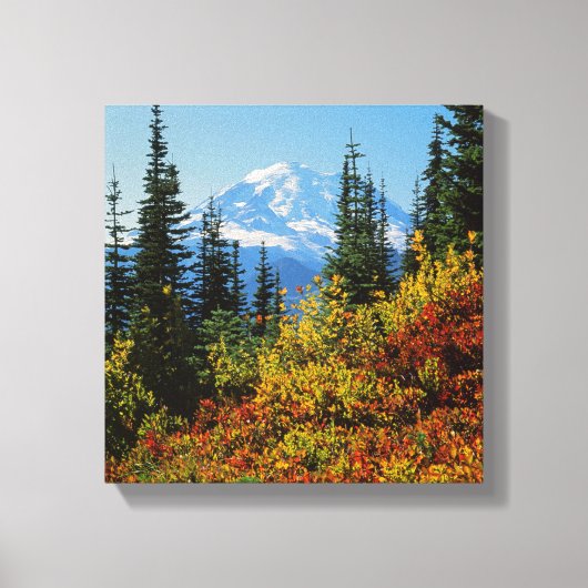 VS, Washington, Mt. Rainier National Park 2 Canvas Afdruk (Voorkant)