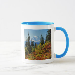 VS, Washington, Mt. Rainier National Park 2 Mok