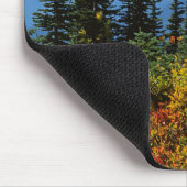 VS, Washington, Mt. Rainier National Park 2 Muismat (Hoek)