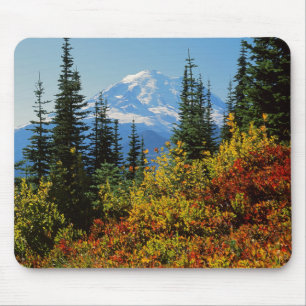 VS, Washington, Mt. Rainier National Park 2 Muismat