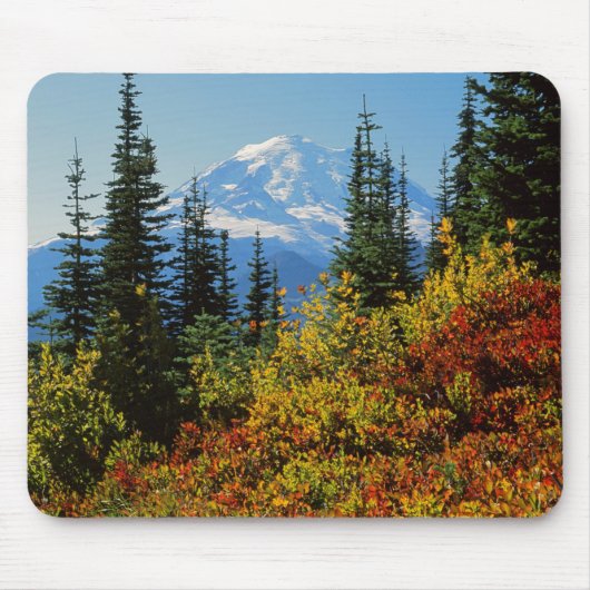 VS, Washington, Mt. Rainier National Park 2 Muismat (Voorkant)