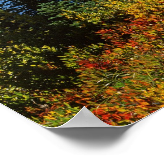 VS, Washington, Mt. Rainier National Park 2 Poster (Hoek)