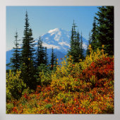 VS, Washington, Mt. Rainier National Park 2 Poster (Voorkant)