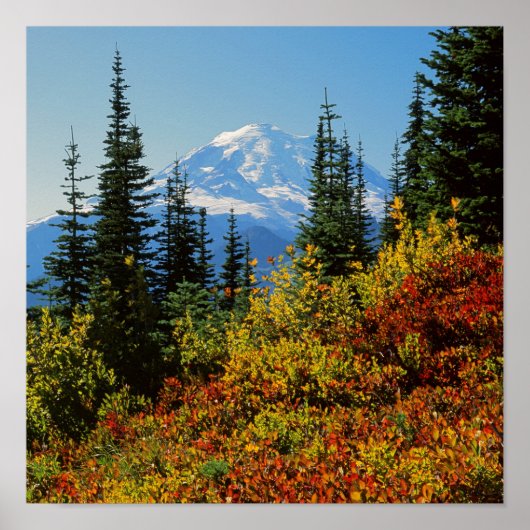 VS, Washington, Mt. Rainier National Park 2 Poster (Voorkant)