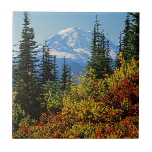 VS, Washington, Mt. Rainier National Park 2 Tegeltje