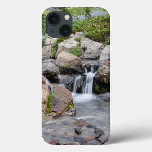 VS, Washington, Mt. Rainier National Park 3 Case-Mate iPhone Case (Achterkant)
