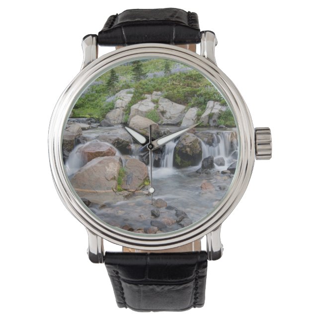 VS, Washington, Mt. Rainier National Park 3 Horloge (Voorkant)