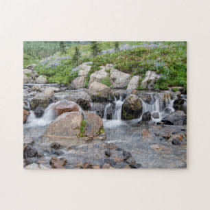 VS, Washington, Mt. Rainier National Park 3 Legpuzzel