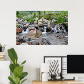 VS, Washington, Mt. Rainier National Park 3 Poster (Thuiskantoor)