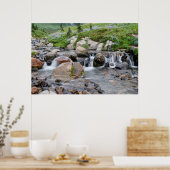 VS, Washington, Mt. Rainier National Park 3 Poster (Keuken)
