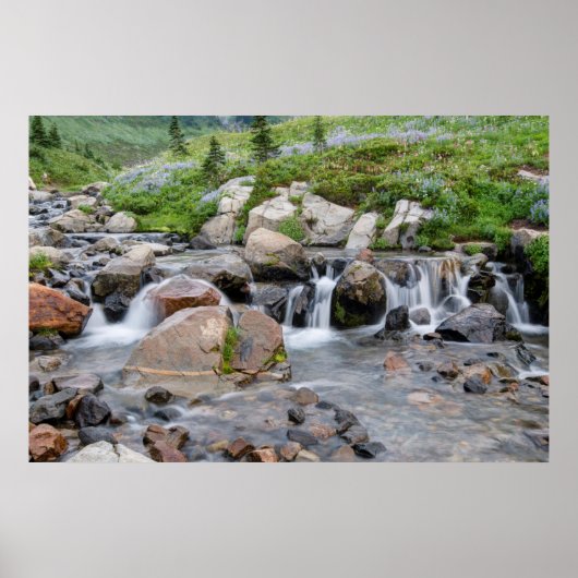 VS, Washington, Mt. Rainier National Park 3 Poster (Voorkant)