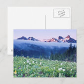 VS, Washington, Mt. Rainier National Park 4 Briefkaart (Voorkant / Achterkant)