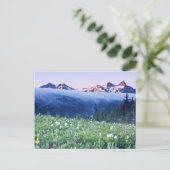 VS, Washington, Mt. Rainier National Park 4 Briefkaart (Staand voorkant)