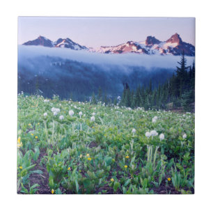 VS, Washington, Mt. Rainier National Park 4 Tegeltje