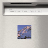 VS, Washington, Mt. Rainier National Park Magneet (Insitu (Vaatwasser))