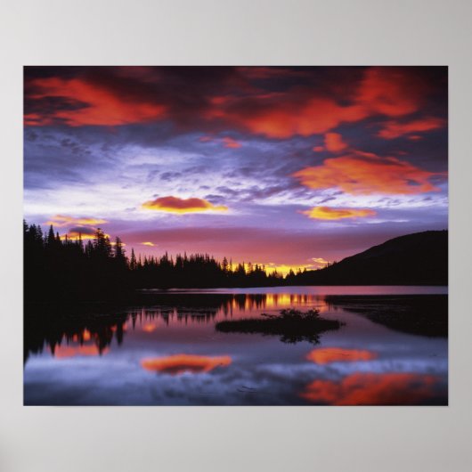 VS, Washington, Mt. Rainier National Park, Poster (Voorkant)