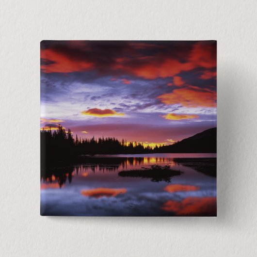VS, Washington, Mt. Rainier National Park, Vierkante Button 5,1 Cm (Voorkant)