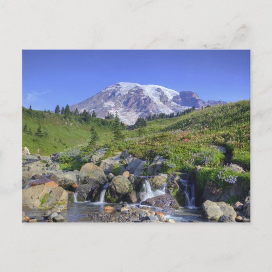 VS, Washington, Mt Rainier NP, Mt Rainier en 2 Briefkaart (Voorkant)