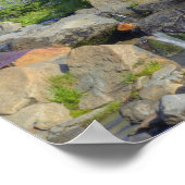 VS, Washington, Mt Rainier NP, Mt Rainier en 2 Poster (Hoek)