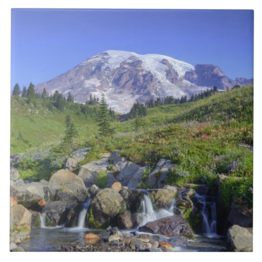 VS, Washington, Mt. Rainier NP, Mt. Rainier en 2 Tegeltje (Voorkant)