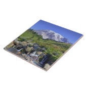 VS, Washington, Mt. Rainier NP, Mt. Rainier en 2 Tegeltje (Zijkant)