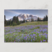 VS, Washington, Mt. Rainier NP, Mt. Rainier en Briefkaart (Voorkant)
