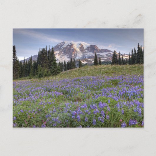 VS, Washington, Mt. Rainier NP, Mt. Rainier en Briefkaart (Voorkant)