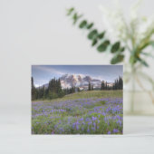 VS, Washington, Mt. Rainier NP, Mt. Rainier en Briefkaart (Staand voorkant)