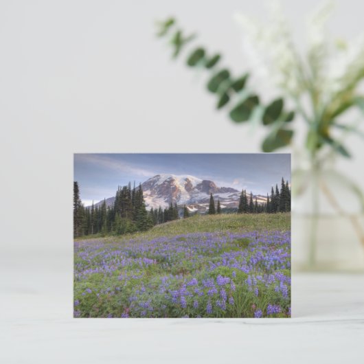 VS, Washington, Mt. Rainier NP, Mt. Rainier en Briefkaart (Staand voorkant)