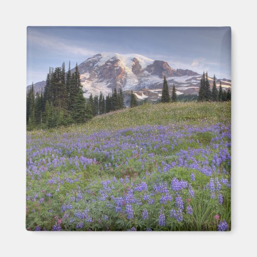 VS, Washington, Mt. Rainier NP, Mt. Rainier en Magneet (Voorkant)