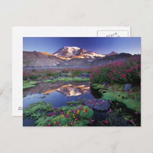 VS, Washington, Mt. Rainier NP, zonsopgang, Briefkaart (Voorkant / Achterkant)
