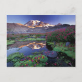 VS, Washington, Mt. Rainier NP, zonsopgang, Briefkaart (Voorkant)
