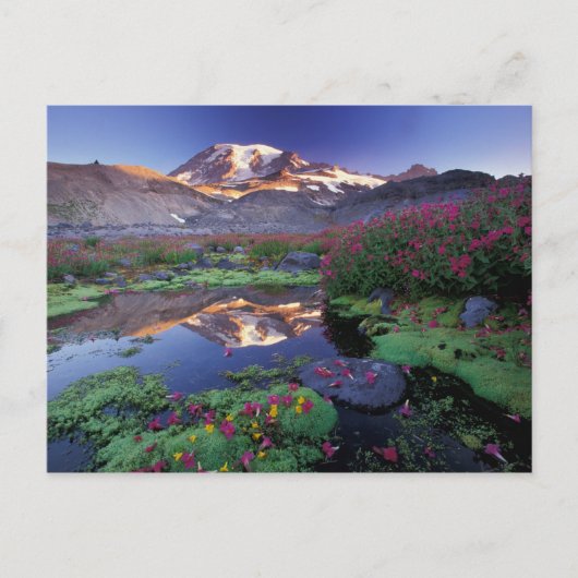 VS, Washington, Mt. Rainier NP, zonsopgang, Briefkaart (Voorkant)