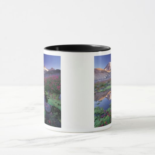 VS, Washington, Mt. Rainier NP, zonsopgang, Mok (Midden)