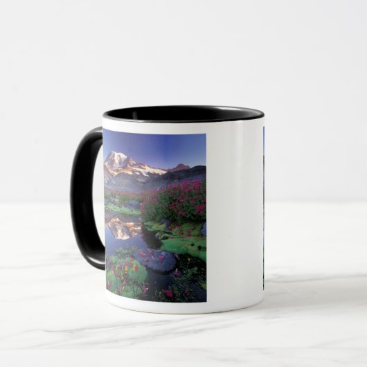 VS, Washington, Mt. Rainier NP, zonsopgang, Mok (Voorkant links)