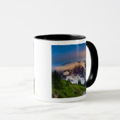 VS, Washington, Mt. Rainier. Ochtendzon Mok (Voorkant rechts)
