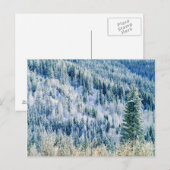 VS, Washington, Mt. Spokane State Park, Aspen 2 Briefkaart (Voorkant / Achterkant)
