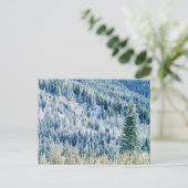 VS, Washington, Mt. Spokane State Park, Aspen 2 Briefkaart (Staand voorkant)