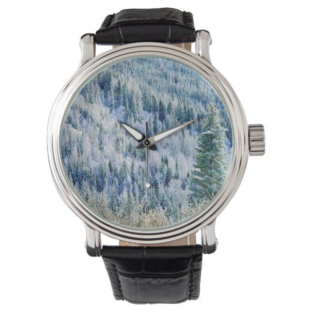 VS, Washington, Mt. Spokane State Park, Aspen 2 Horloge (Voorkant)