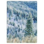 VS, Washington, Mt. Spokane State Park, Aspen Klembord (Achterkant)