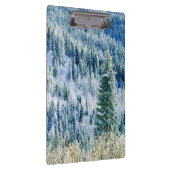 VS, Washington, Mt. Spokane State Park, Aspen Klembord (Rechts)