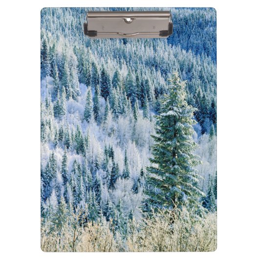 VS, Washington, Mt. Spokane State Park, Aspen Klembord (Voorkant)