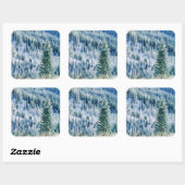 VS, Washington, Mt. Spokane State Park, Aspen Vierkante Sticker (Vel)