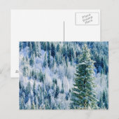 VS, Washington, Mt. Spokane State Park, Espen Briefkaart (Voorkant / Achterkant)