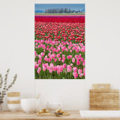 VS, Washington. Multicolored Tulpen Poster (Keuken)